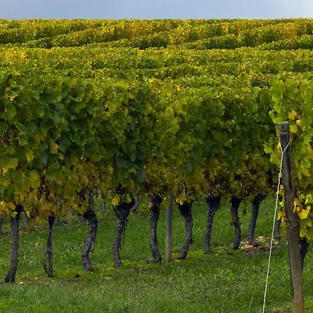 ホテル イビス サントル クレマンソー 3*