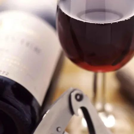 イビス サントル クレマンソー ホテル ディジョン