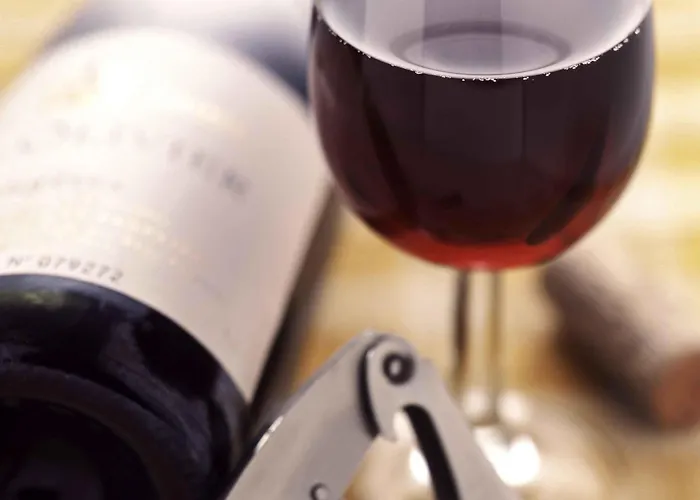 第戎中心克莱蒙梭宜必思酒店 酒店 第戎